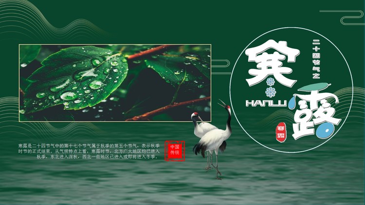 深绿色寒露节气PPT模板免费下载