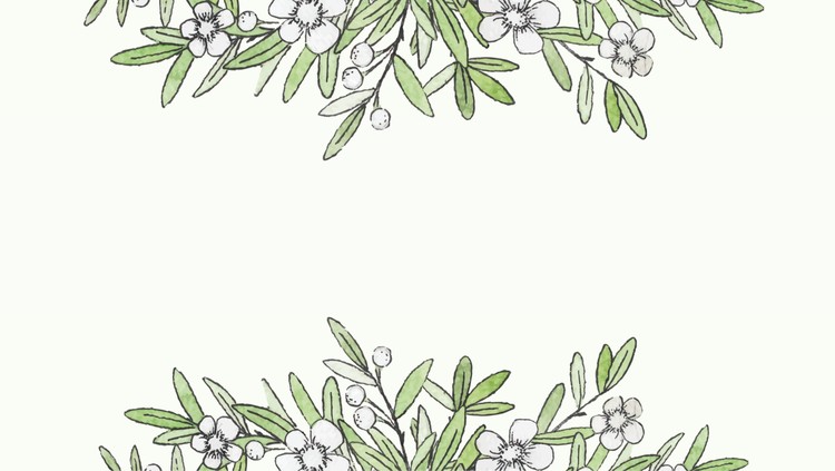 四张水彩绿叶白花植物PPT背景图片