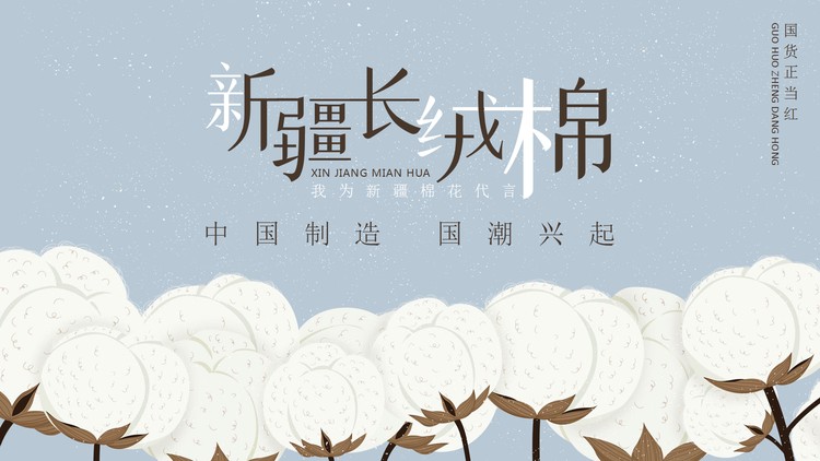 新疆长绒棉介绍PPT模板