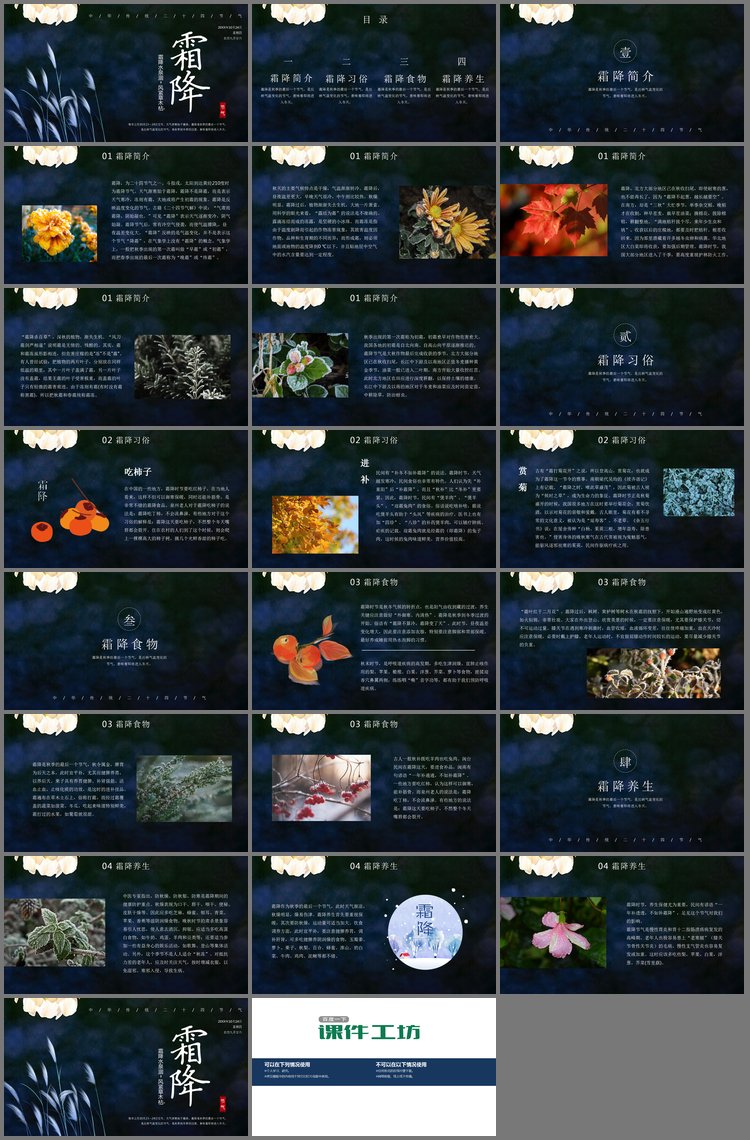 PPT模板-深蓝雅致霜降节气介绍PPT模板