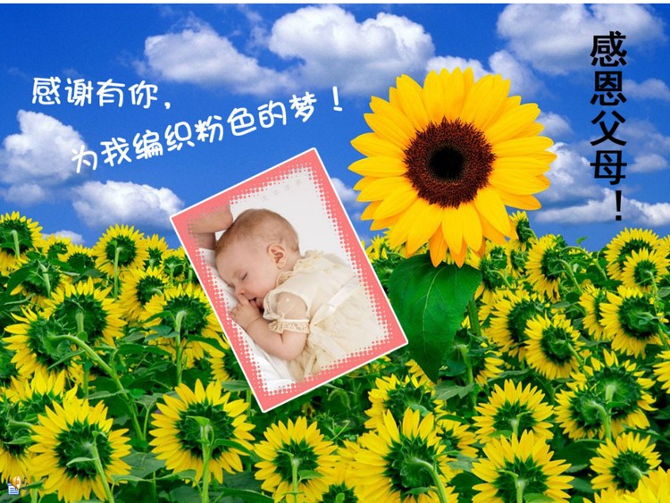 感恩父母幻灯片下载