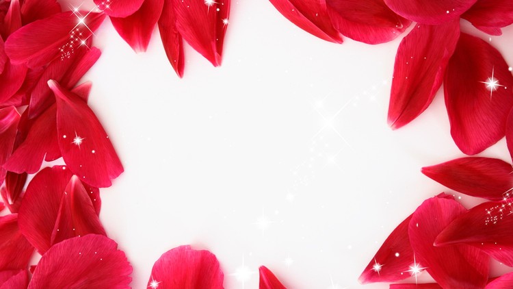 红色玫瑰花瓣PPT背景图片