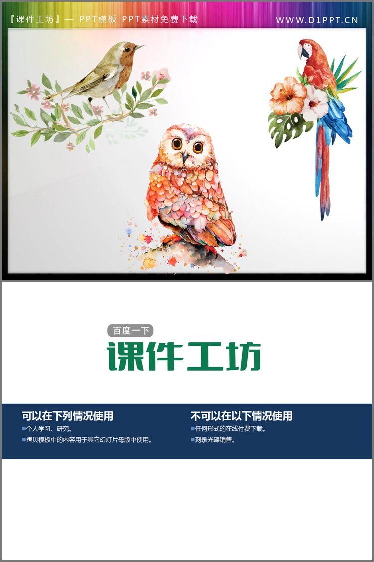 PPT模板-水彩小鸟猫头鹰鹦鹉PPT素材