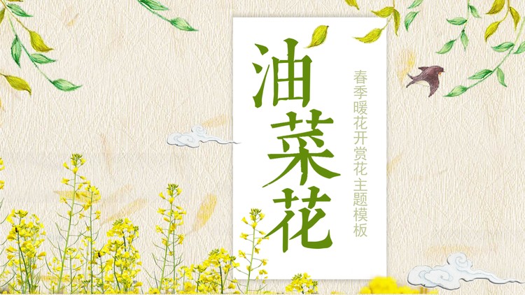 水彩油菜花PPT模板