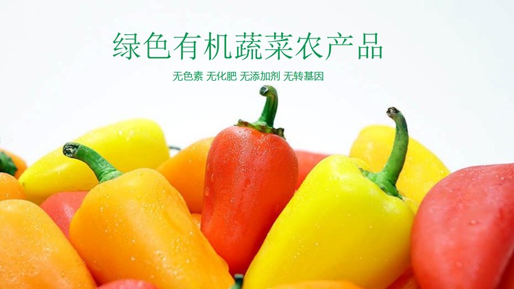 绿色有机蔬菜PPT模板