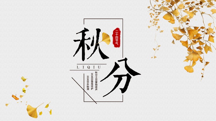 金黄色银杏叶背景的秋分PPT模板
