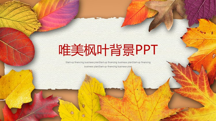 金灿灿的落叶背景PPT模板