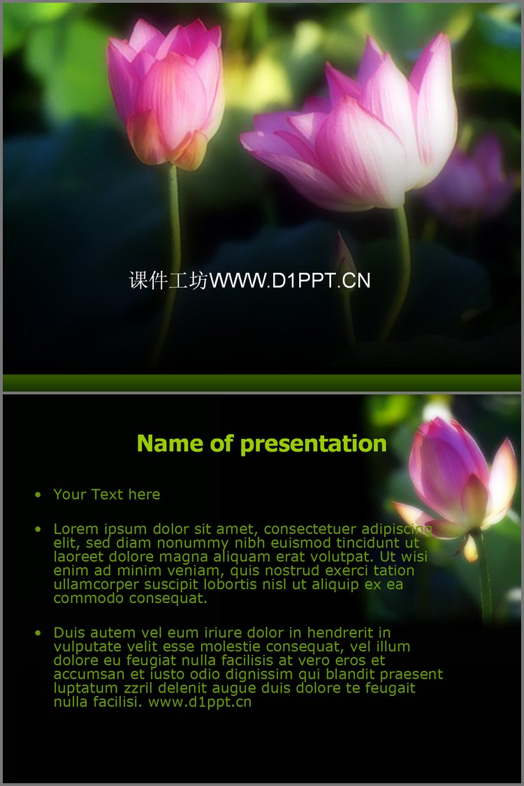 PPT模板-娇艳荷花PPT模板下载