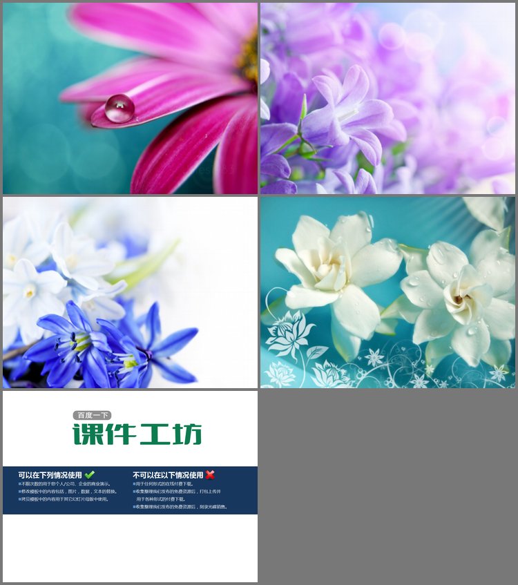 PPT模板-一组紫色鲜花幻灯片背景图片下载