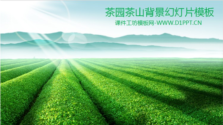 绿色茶山茶庄茶园PPT模板