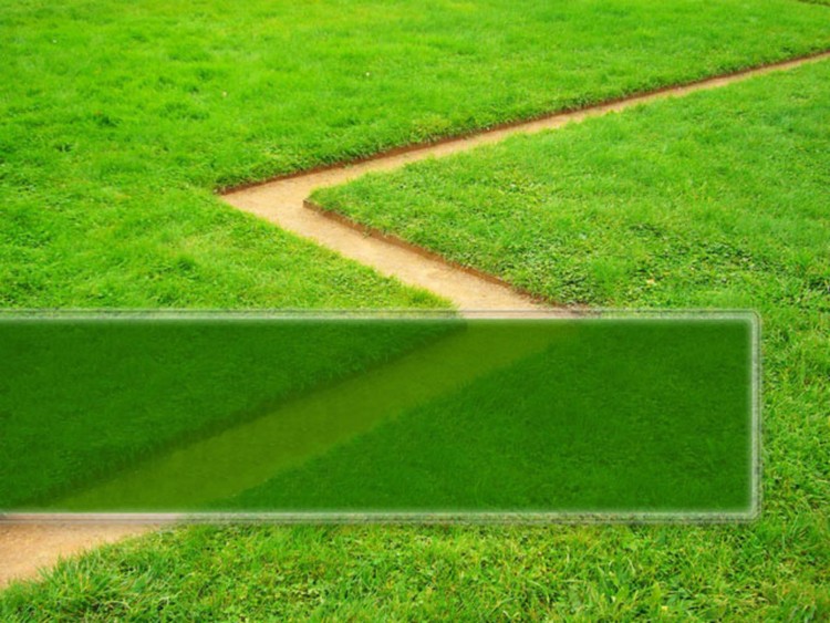 绿色草地植物PPT背景模板