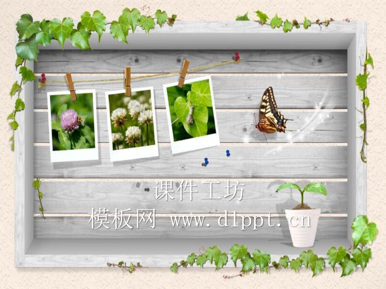 藤蔓蝴蝶PPT背景图片下载