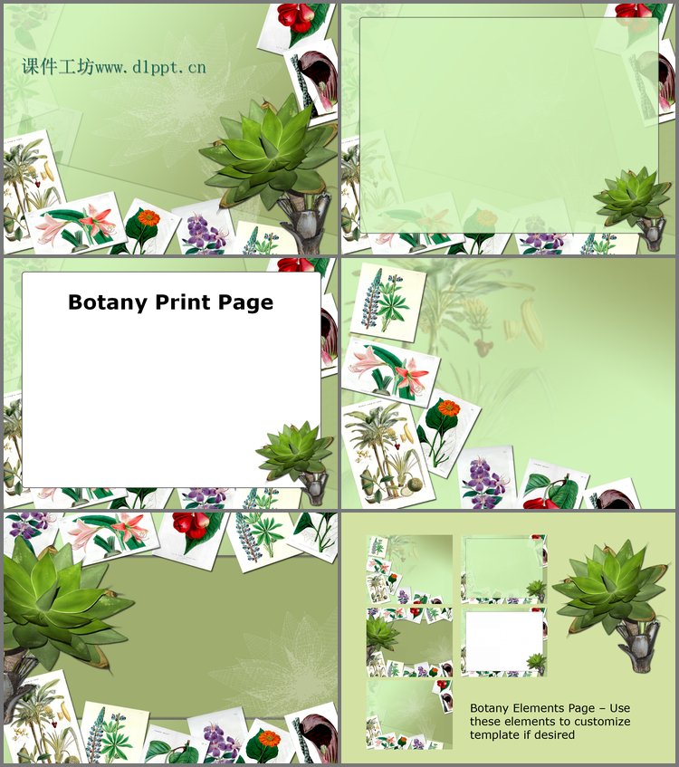 PPT模板-植物相册PPT模板下载