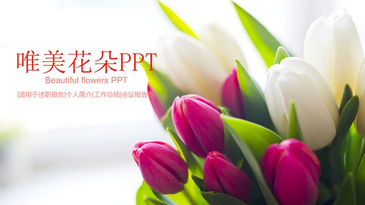 唯美郁金香鲜花背景的通用PPT模板免费下载
