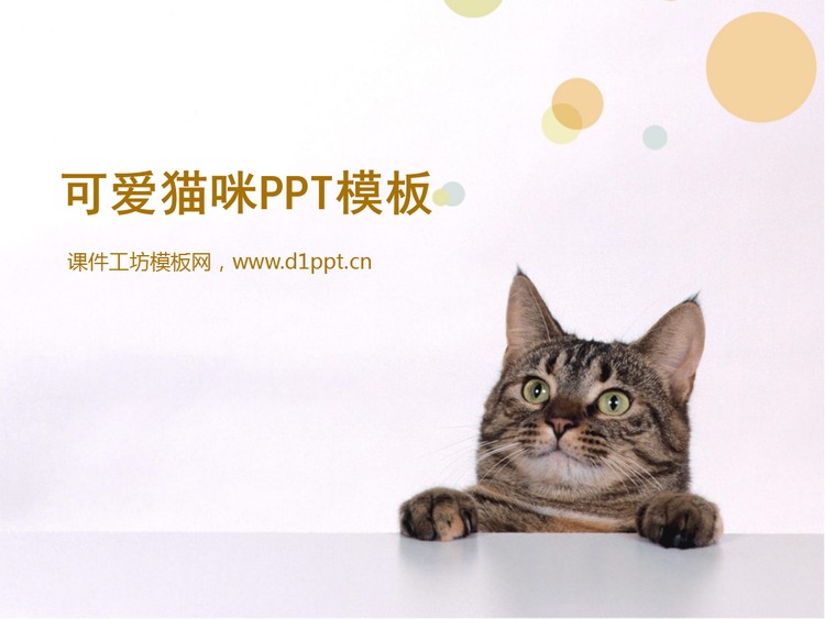 可爱猫咪幻灯片模板下载