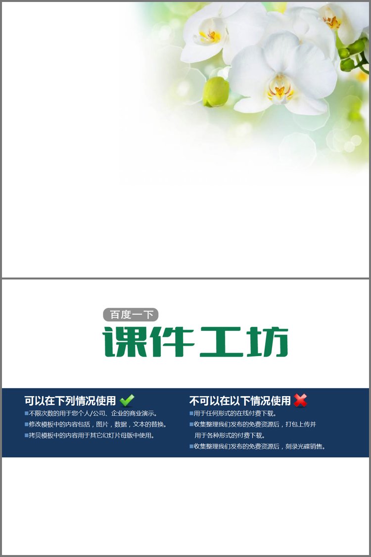 PPT模板-淡雅白色蝴蝶兰幻灯片背景图片下载