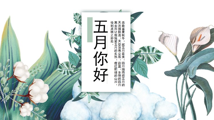 艺术手绘棉花百合背景五月你好PPT模板