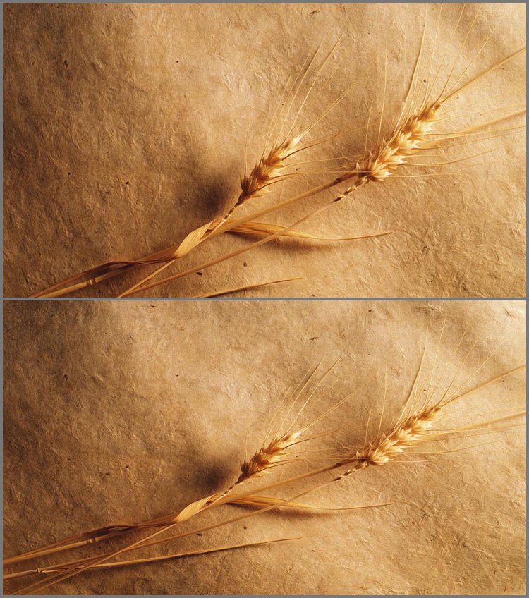 PPT模板-金色麦穗PowerPoint背景图片