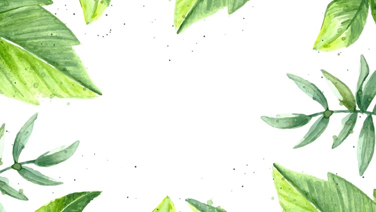 水彩绿叶PPT背景图片