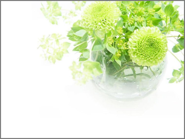 PPT模板-绿色花瓶植物PPT背景图片