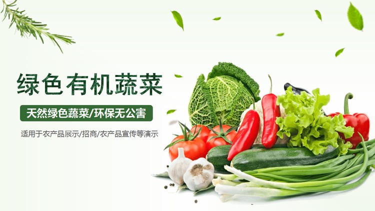 精美绿色蔬菜背景PPT模板