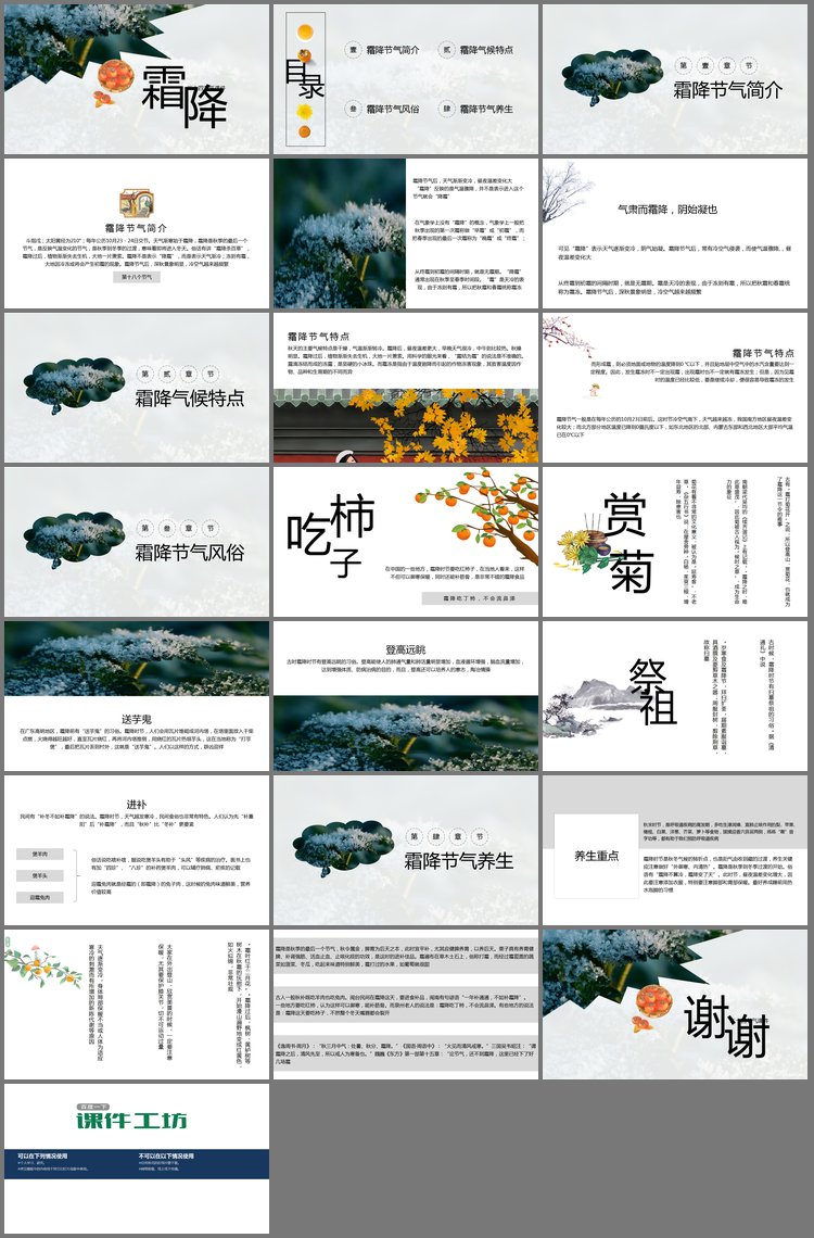 PPT模板-简约朴素霜降节气介绍PPT模板