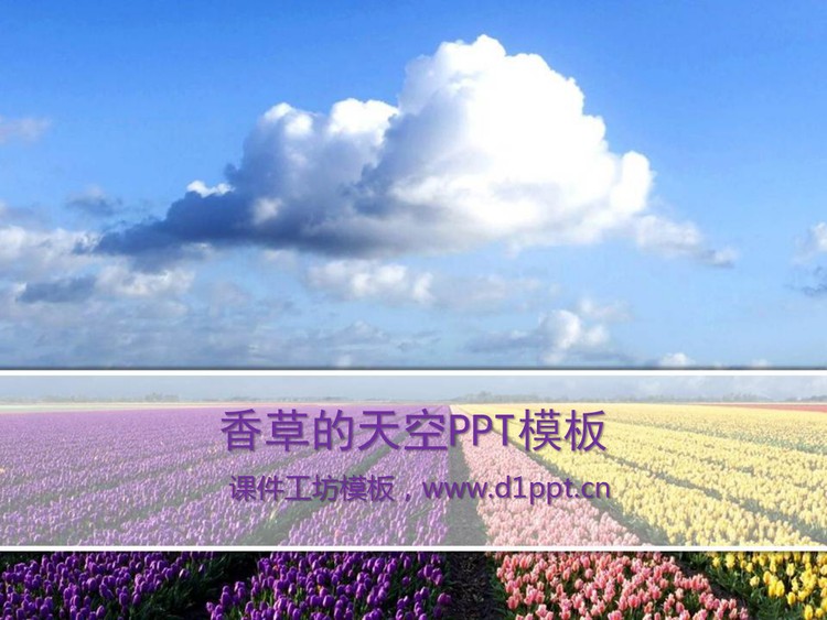 天空下的郁金香PowerPoint模板下载
