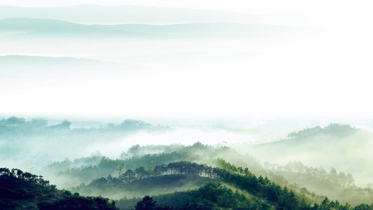 绿色清新山岭森林PPT背景图